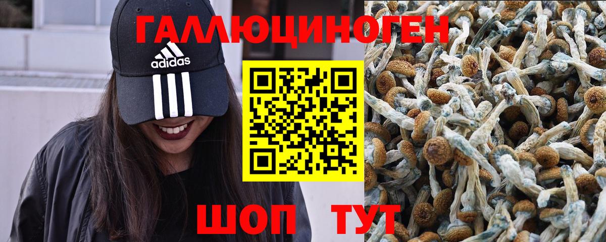 Галлюциногенные грибы Magic Shrooms  Вход с VPN  Железноводск 