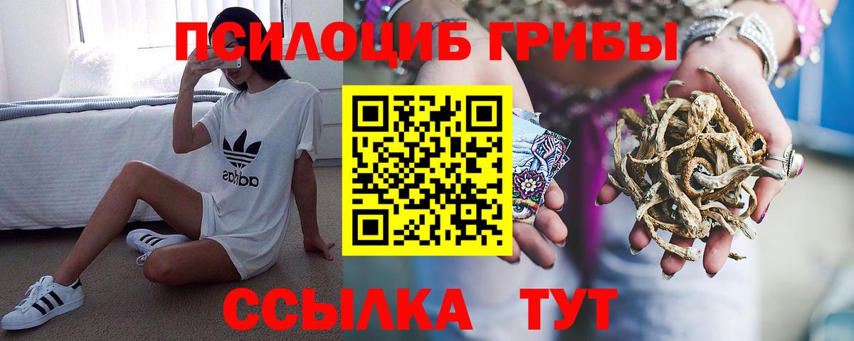 Галлюциногенные грибы GOLDEN TEACHER Железноводск